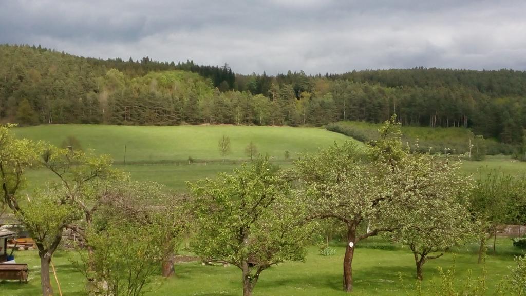 Mija Apartman S Vinnym Sklipkem, Zahradou A Grilem Kajov Exterior photo